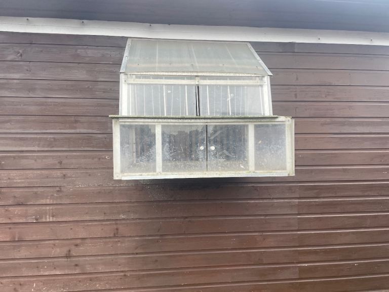 Sputnik pigeon traps