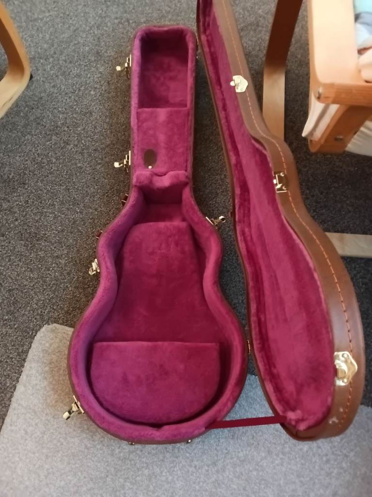 Kinsmam delux les paul case