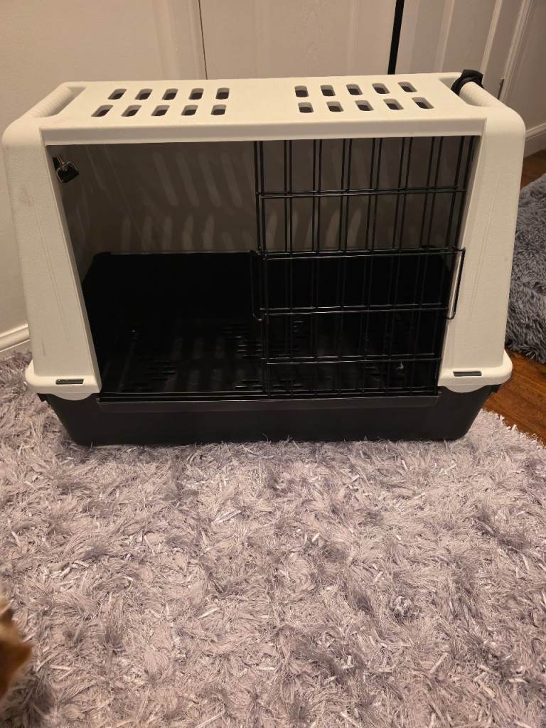 Dog carrier 