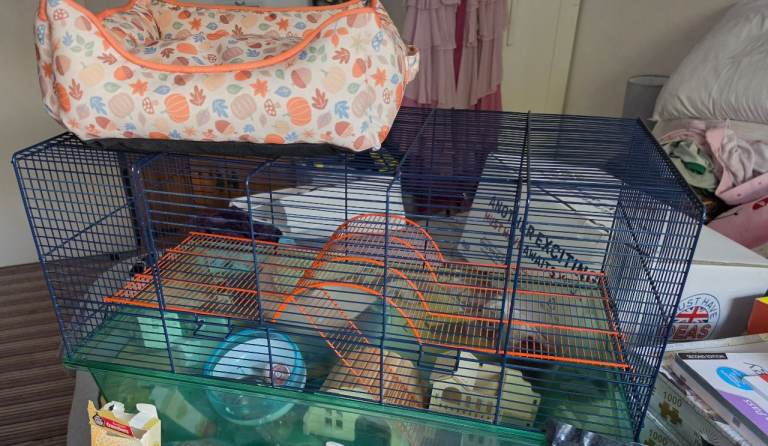 Pets at Home Small Animal Starter Bundle
