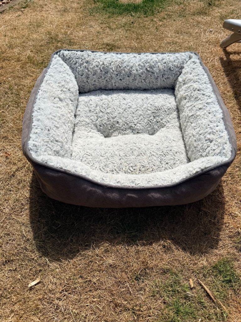 Dog basket 