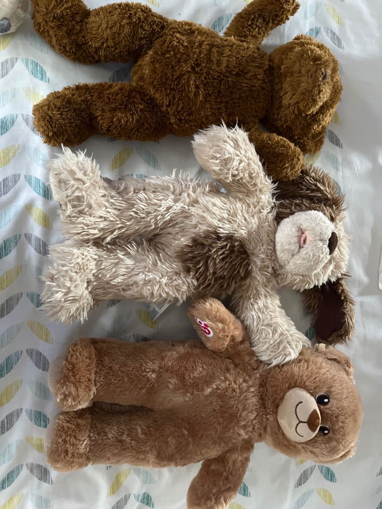 Build a bear teddies x 1