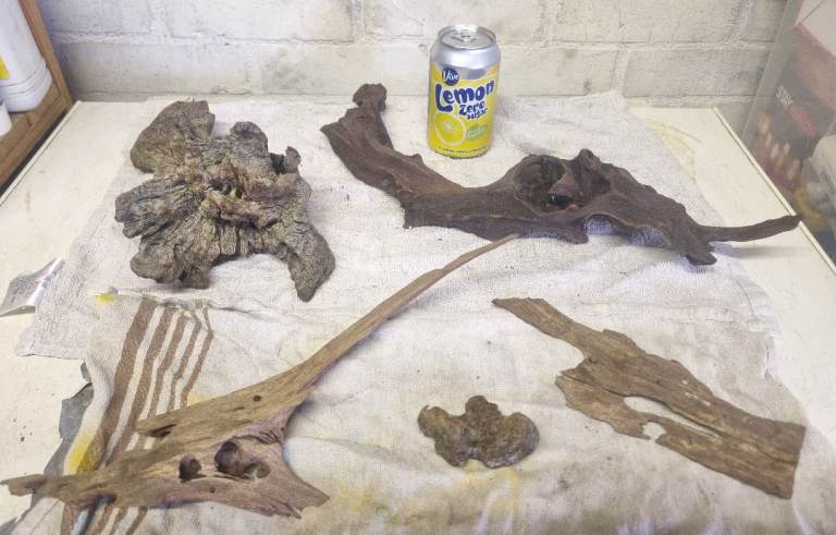 5 x pieces of bogwood