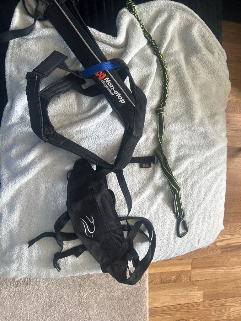 Canicross starter kit