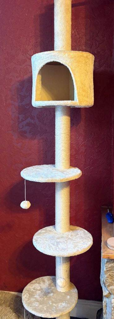 Large cat tree