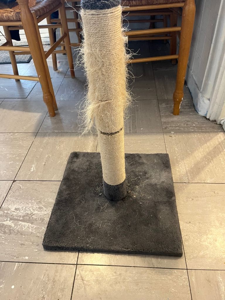 Cat scratch post