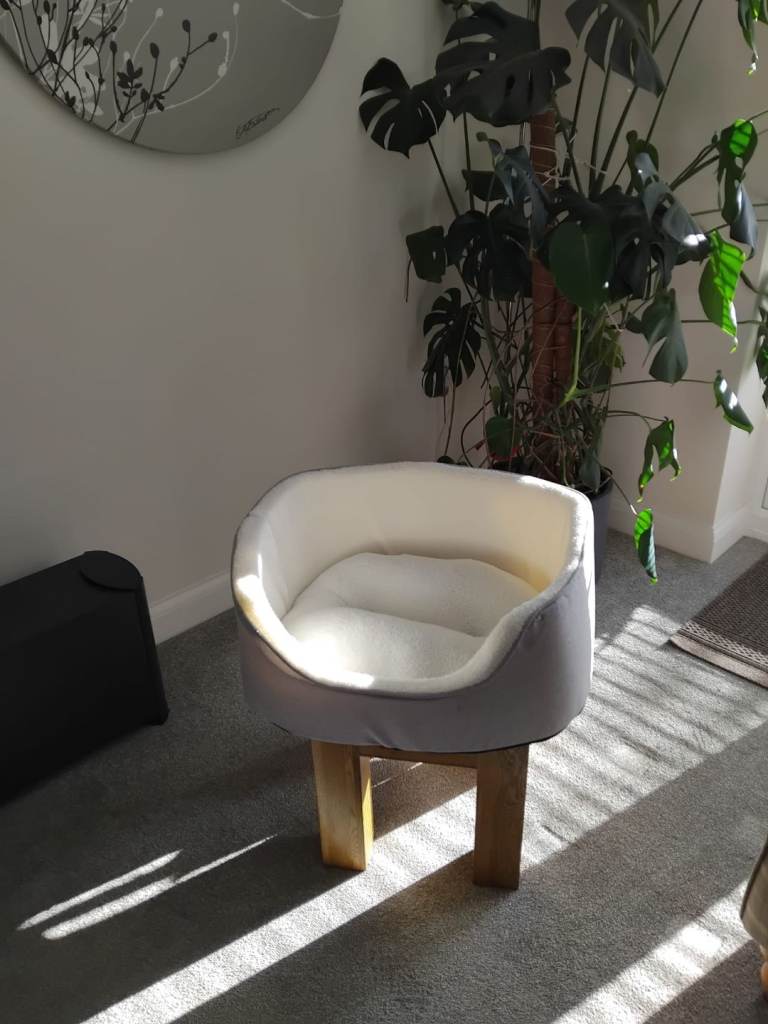 Tails Oval Dog Bed Brand New 