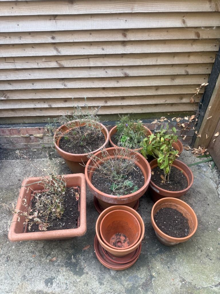 Selection of Terracotta Plant Pots and Planters