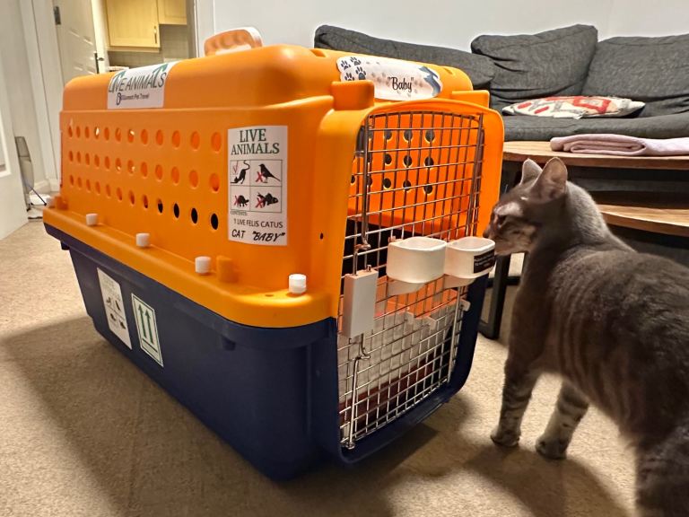 Large crate for air travel