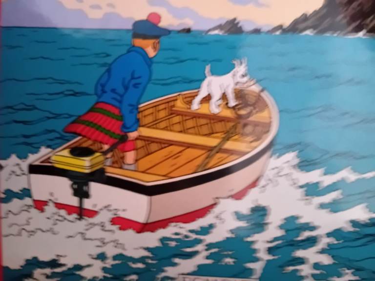 Wanted, Any Tintin and Snowy material