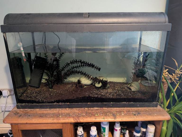 90 litre fish tank with filter and heater
