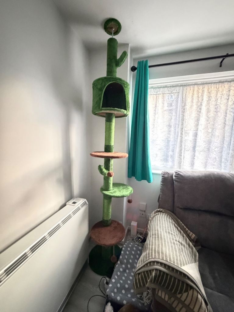 Cat scratch tree