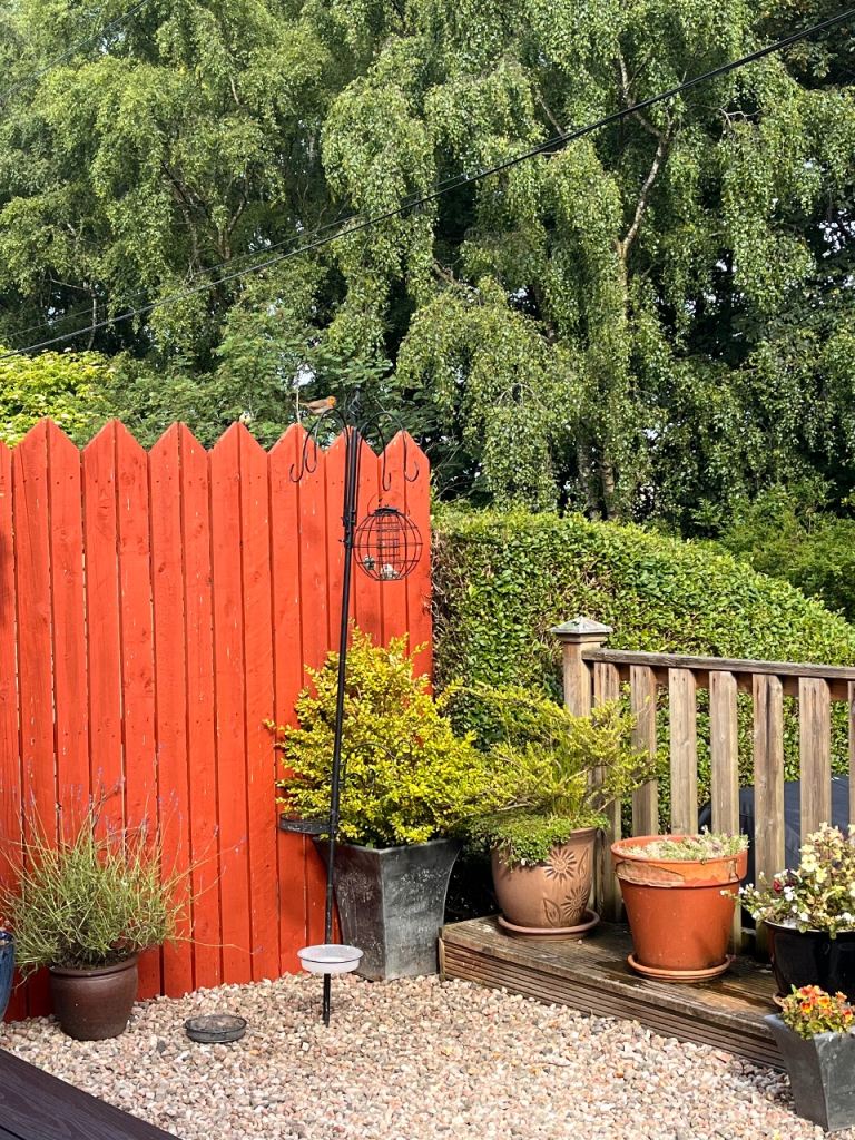 Bird feeding station