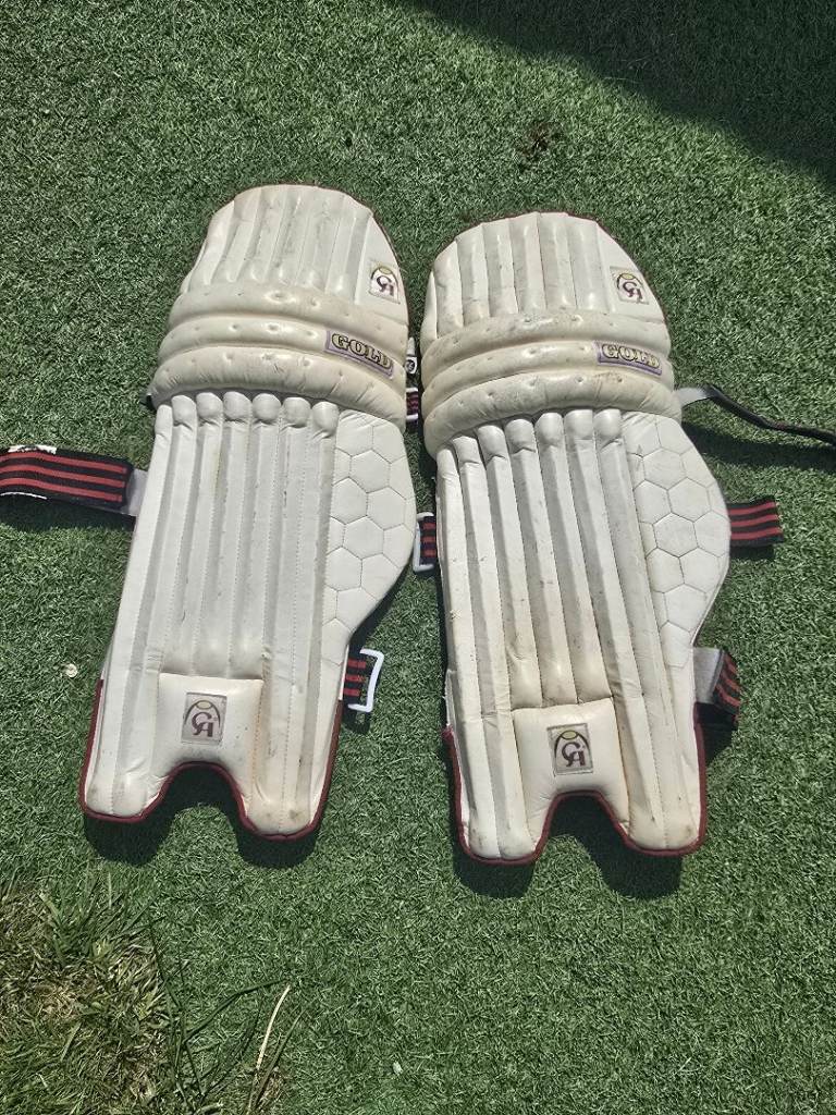 Cricket pads adults size 