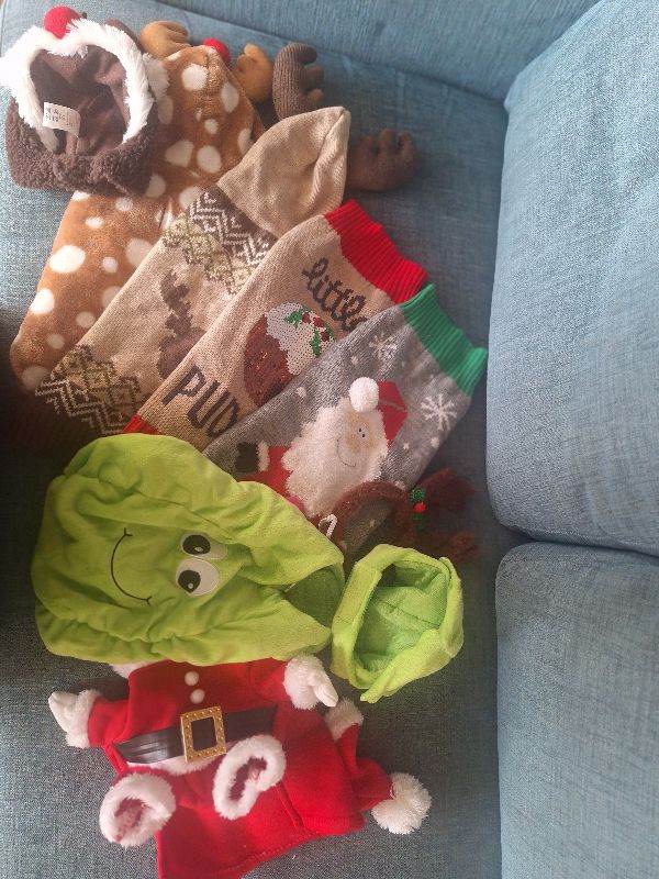 Collection of festive outfits for small dog