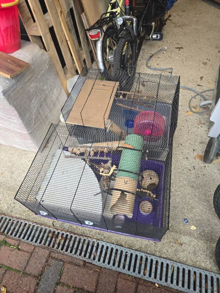 2 x large hamster, cages