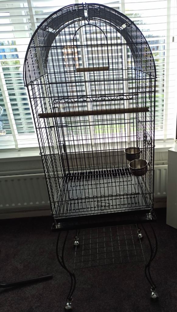Parrot cage 