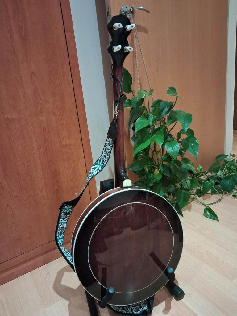 Ashbury AB-45 Tenor Banjo in great condition (bag and strap included)