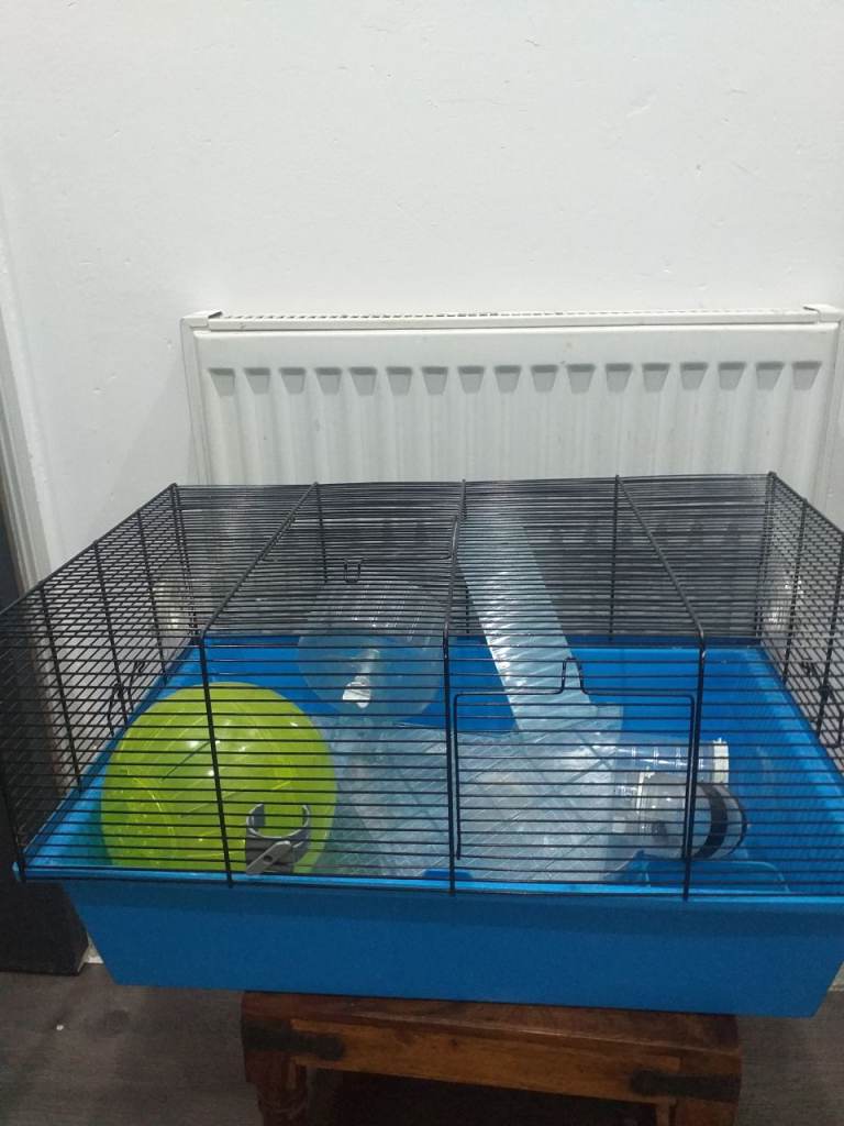 Hamster cage 