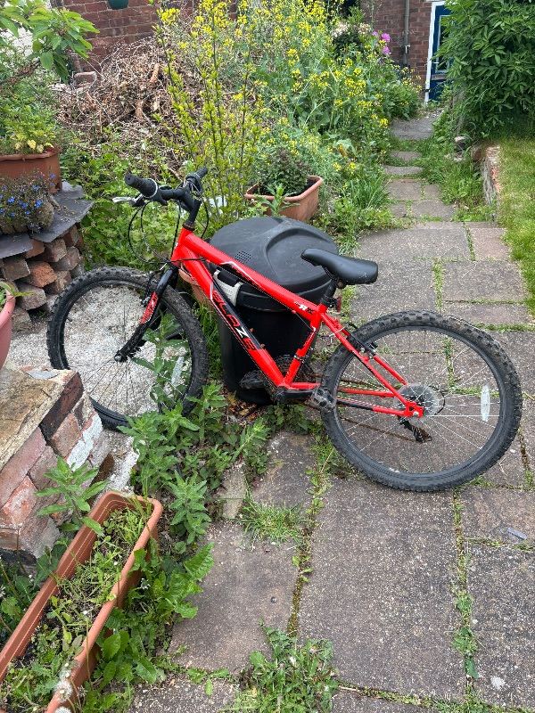 Kids mountain bike