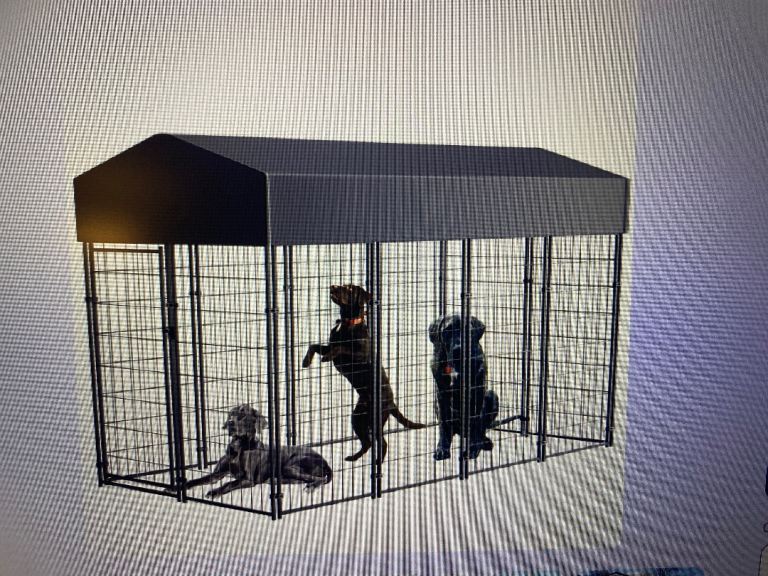 Large dog cage bingo paw brand