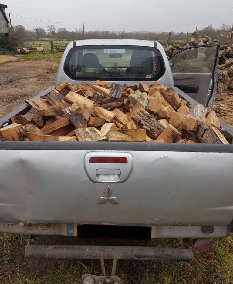 Barn stored logs bone dry ASH wood 🪵 