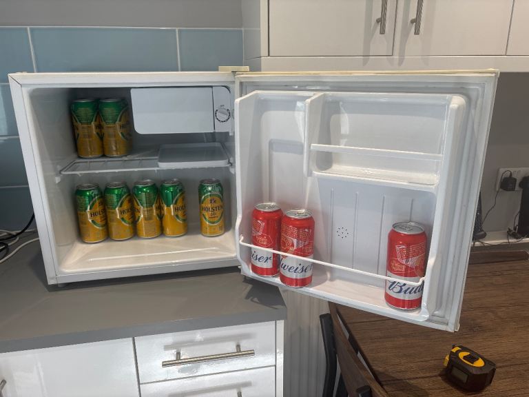 Mini Fridge with Freezer Box – Perfect Beer Fridge 🍺