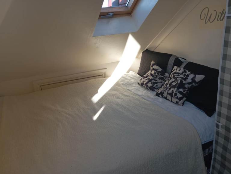 Attic double room