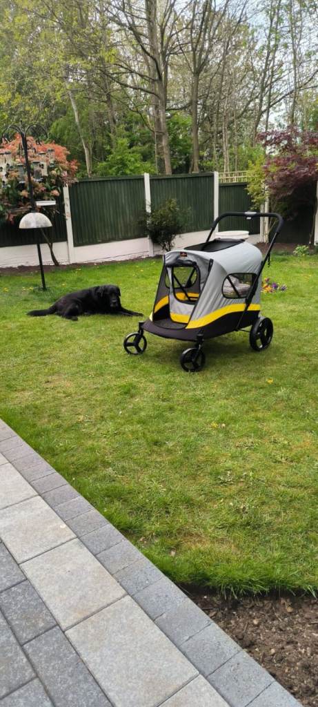 Large bingo paw pet stroller 