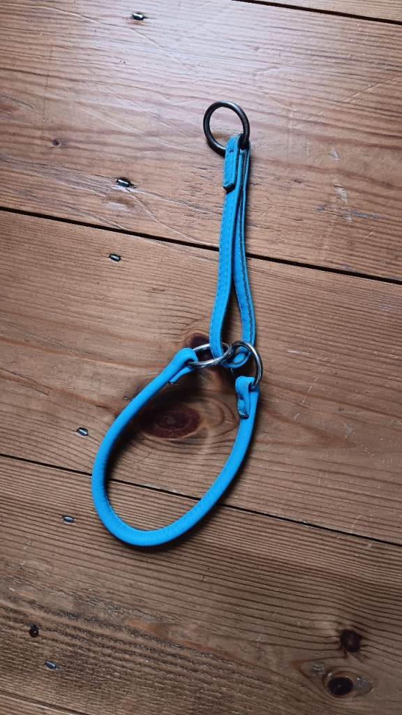 Rolled leather dog collar 