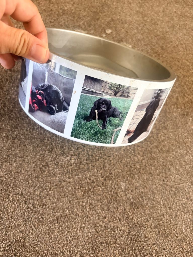 Brand New Stainless Steel Dog Bowls – Customisable – £5 Each