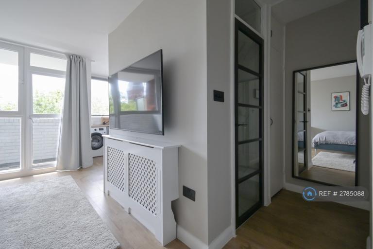 Studio flat in Vauxhall Bridge Road, London, SW1V (#2785088)