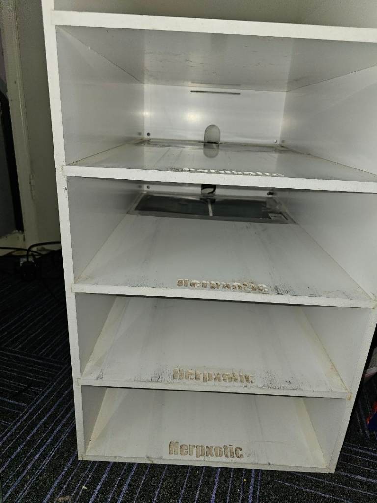 Herpxotic snake rack