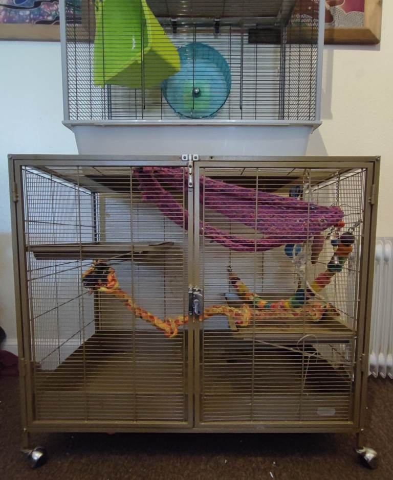 3 large rodent / rat cages