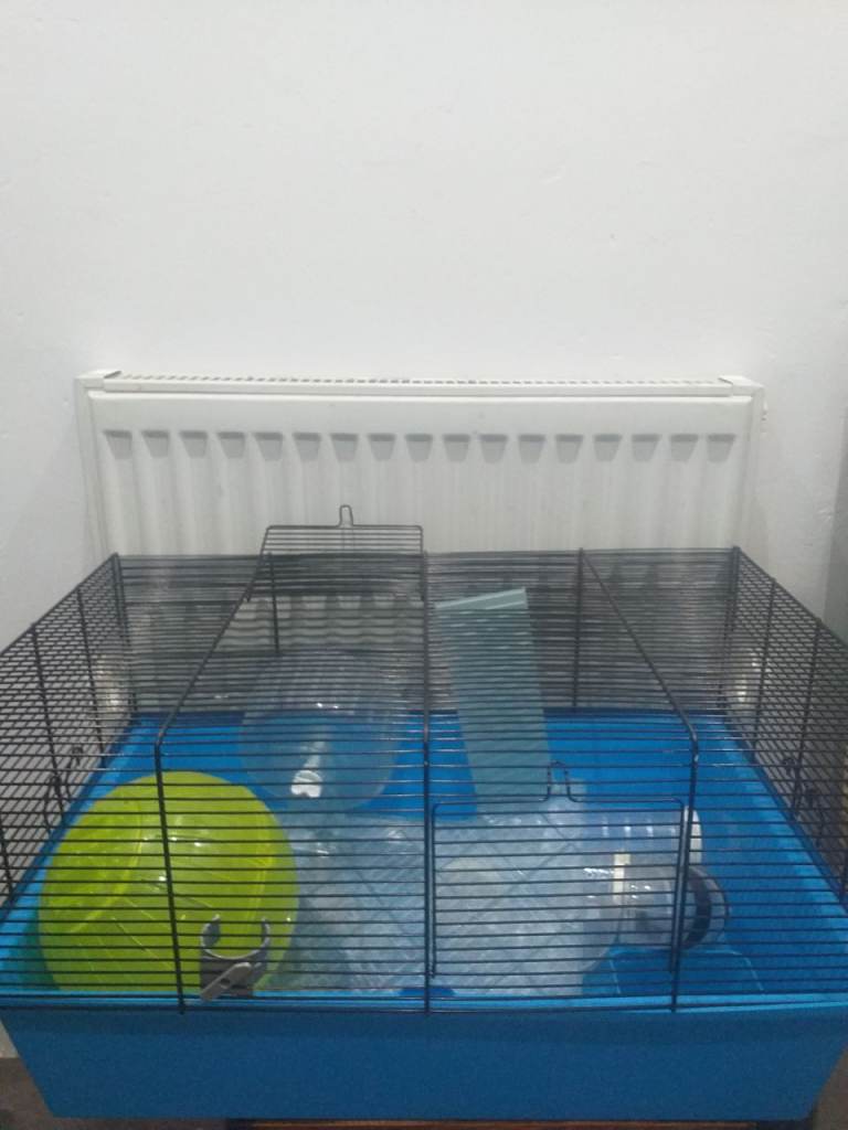 Hamster cage 