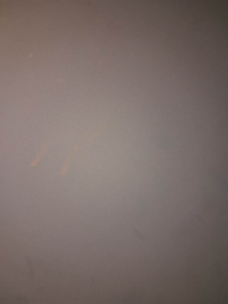 Pronovias Wedding Dress  (Size 16) & Free Matching Chapel Length Veil