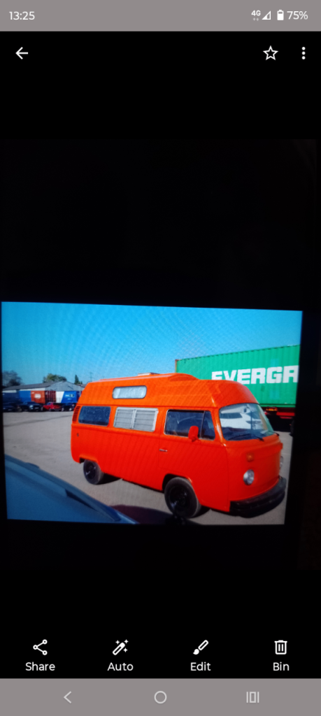 VW T2