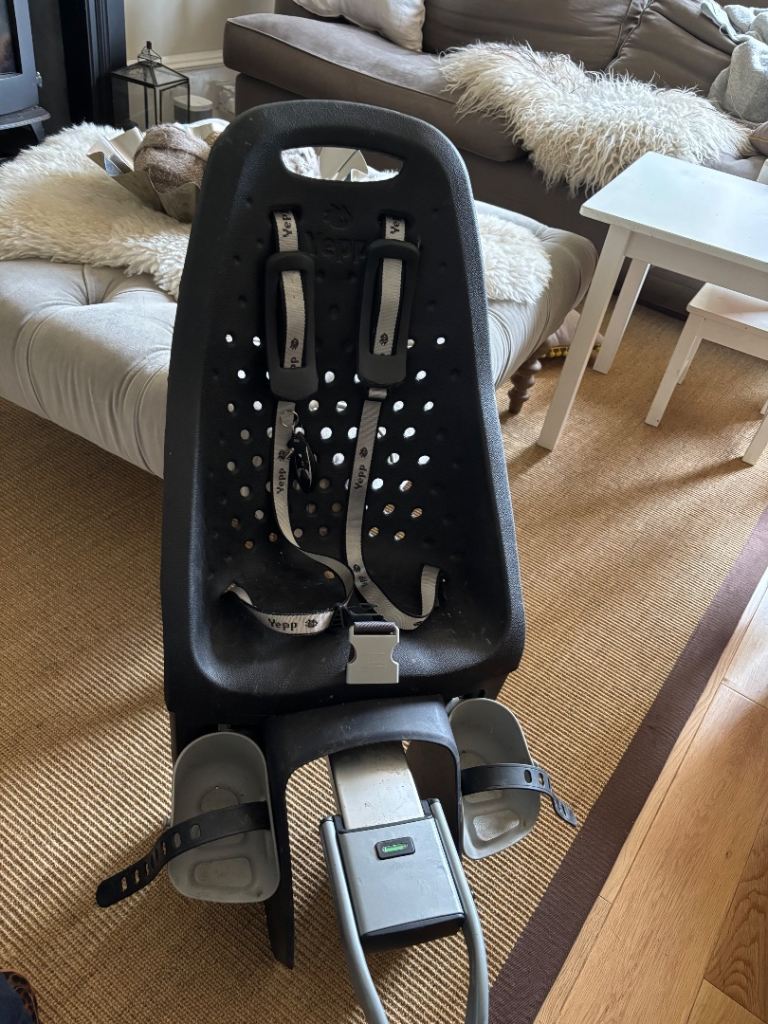 Kids bike seat 