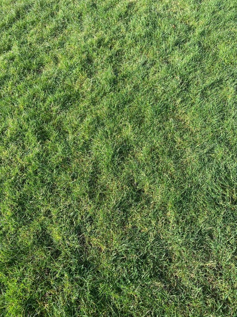 Wanted VHS video recordings of top of the pop 70’s music