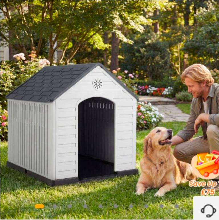 Dog house 