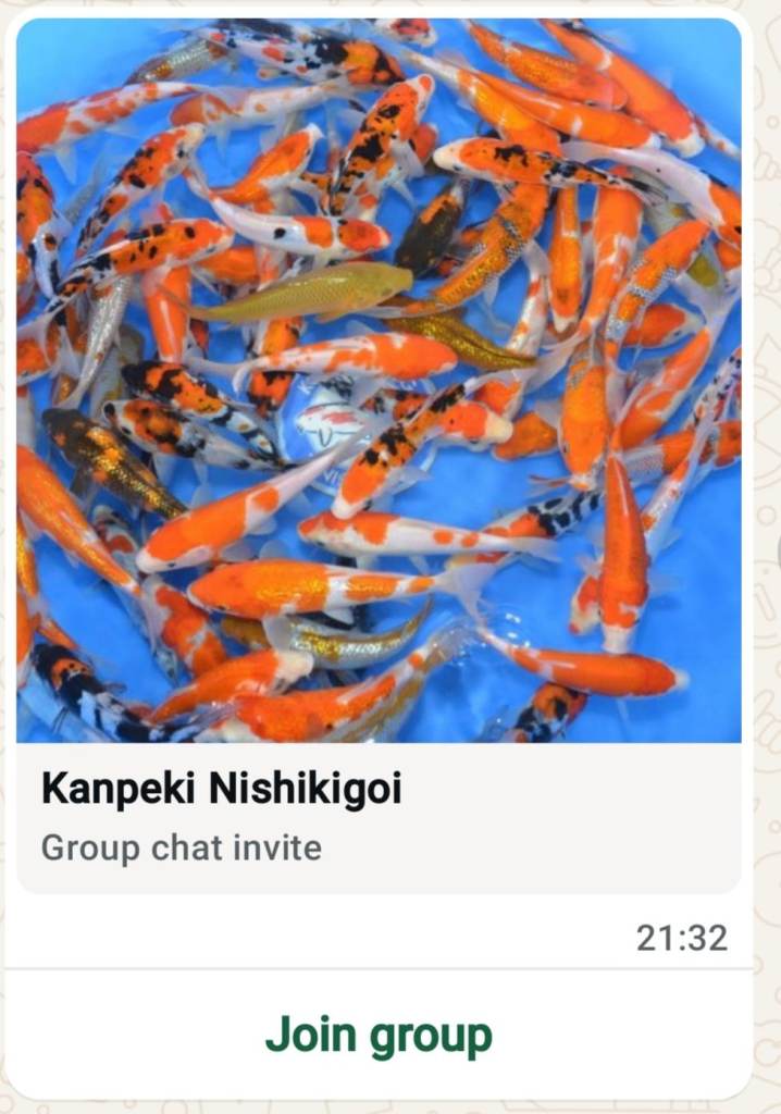 Koi