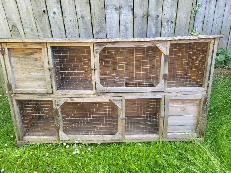 Rabbit, Ferret, guinea pig,  cage