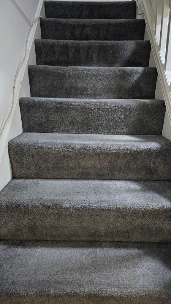 Professional Carpet Cleaning – Stain & Odour Removal | Fast Dry Service
