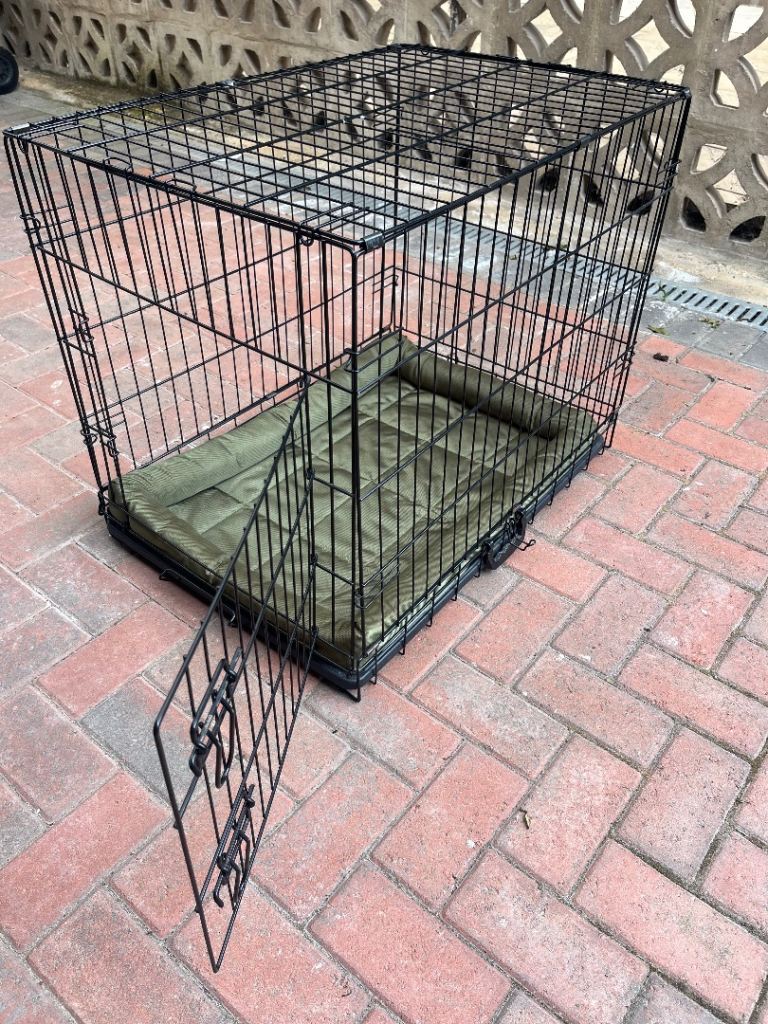 Dog cage 