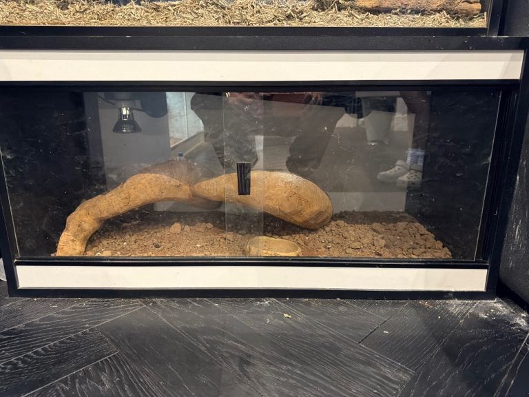 Vivarium used for 6 months  