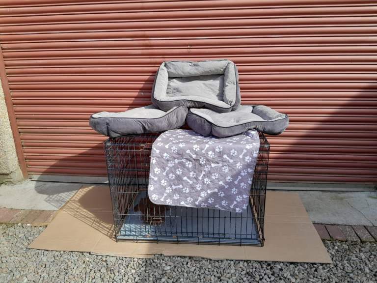 Large dog crate with accessories.