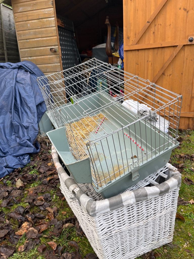 Rabbit small furry cage 