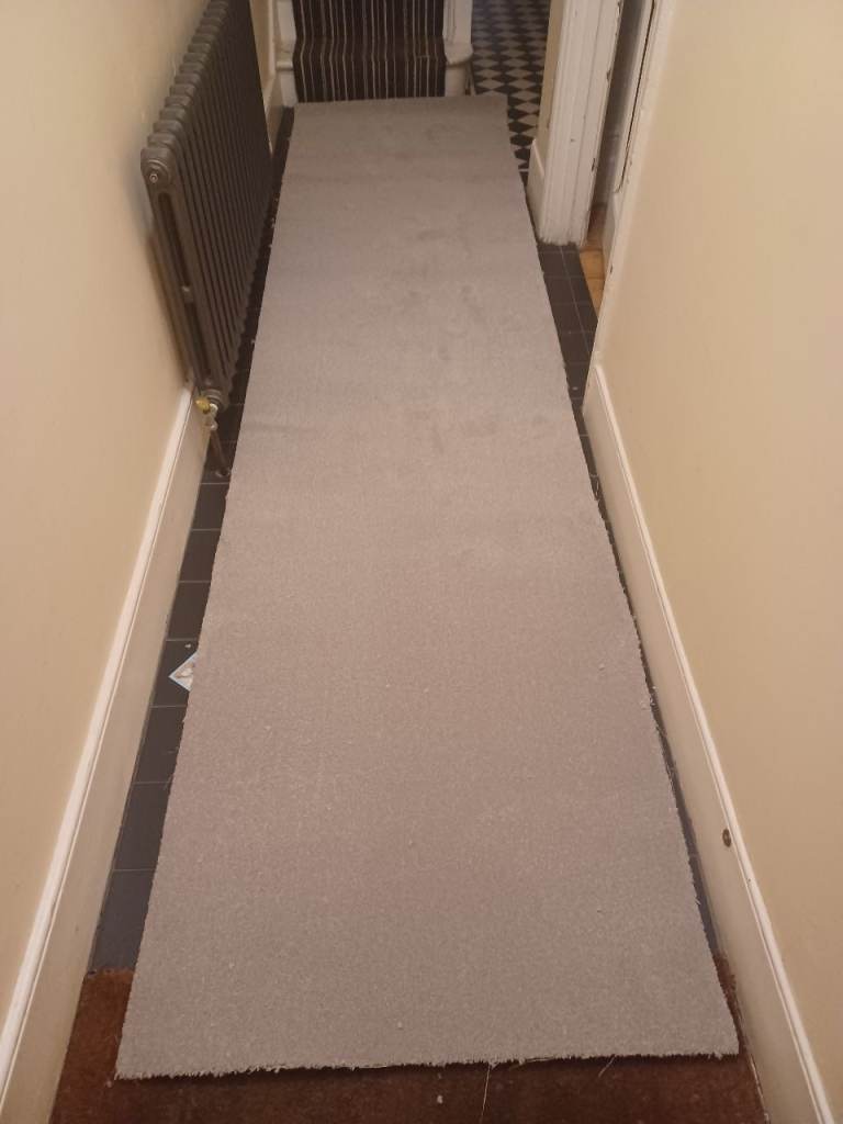 New light grey carpet offcut 3.4M 