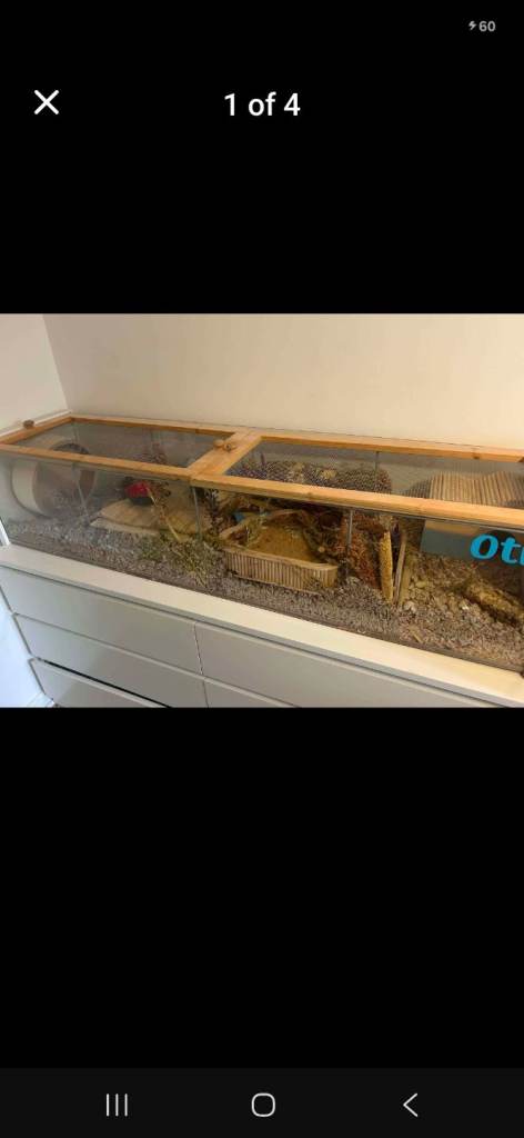 Ikea hamster tank