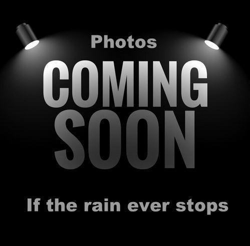 2024 Honda CB500 F Hornet CB500F A-R Hornet TFT Dash